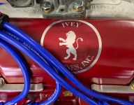 Revival is survival: Ivey Engines