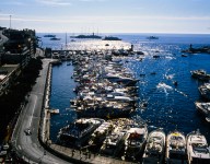 Monaco GP canceled for 2020