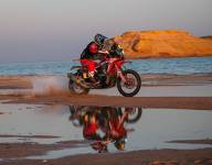 Leaders Peterhansel, Cornejo pull ahead in Dakar Stage 9