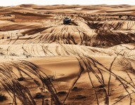 Dakar Rally contenders take stock at halfway point